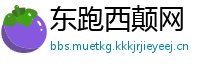 东跑西颠网